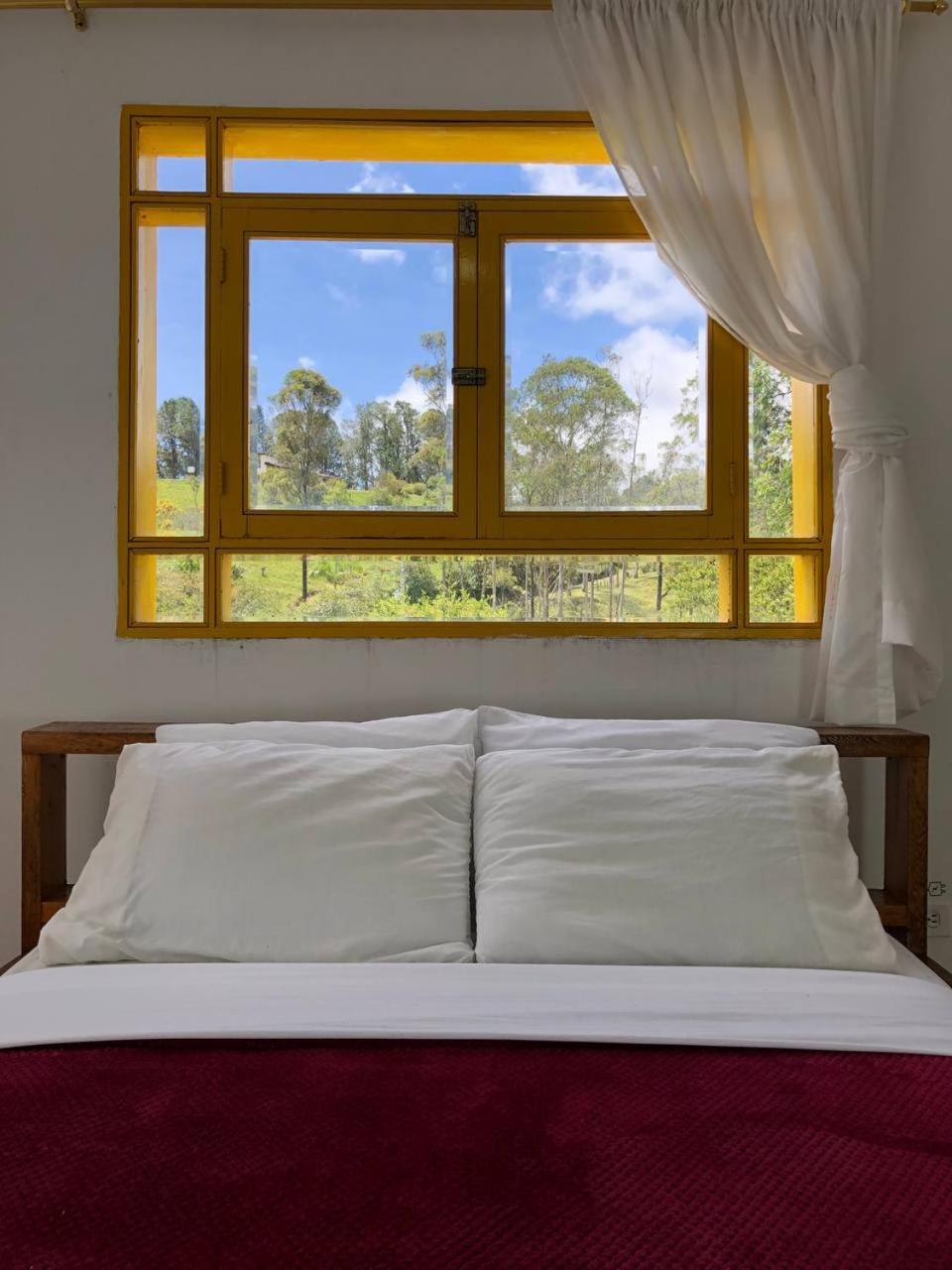 Alegria Hostel Boutique Гуатапе Номер фото